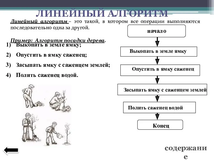 Линейный алгоритм – это такой, в котором все операции выполняются