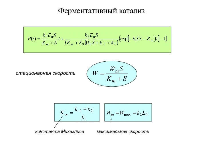 константа Михаэлиса максимальная скорость стационарная скорость Ферментативный катализ