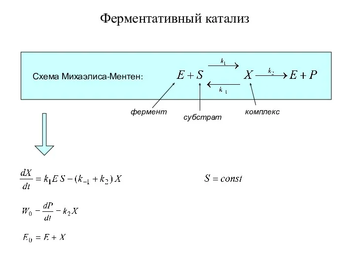 Ферментативный катализ Схема Михаэлиса-Ментен: фермент субстрат комплекс