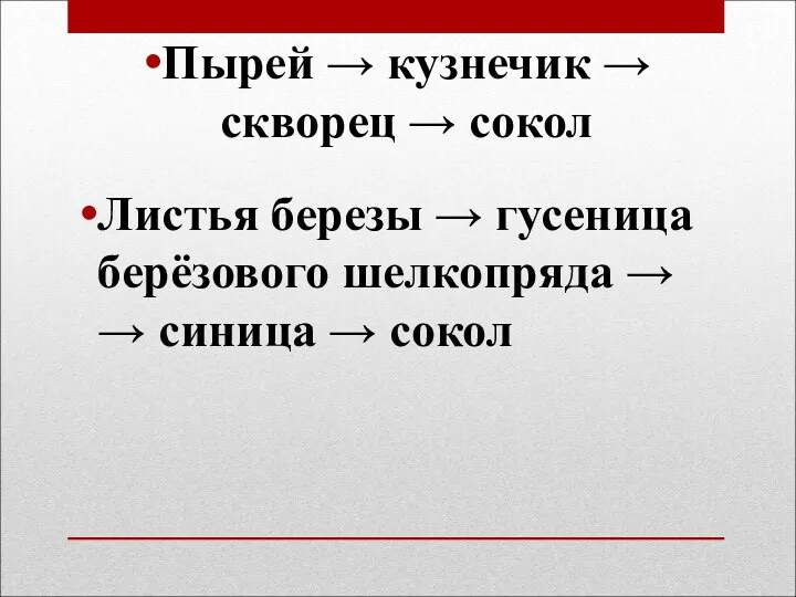 Пырей → кузнечик → скворец → сокол Листья березы → гусеница берёзового шелкопряда