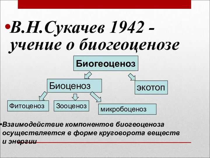 В.Н.Сукачев 1942 - учение о биогеоценозе Биогеоценоз Биоценоз экотоп Фитоценоз