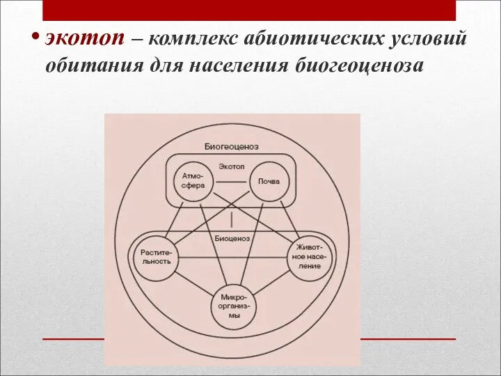 экотоп – комплекс абиотических условий обитания для населения биогеоценоза