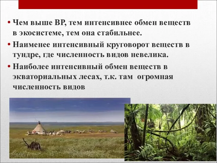 Чем выше ВР, тем интенсивнее обмен веществ в экосистеме, тем она стабильнее. Наименее