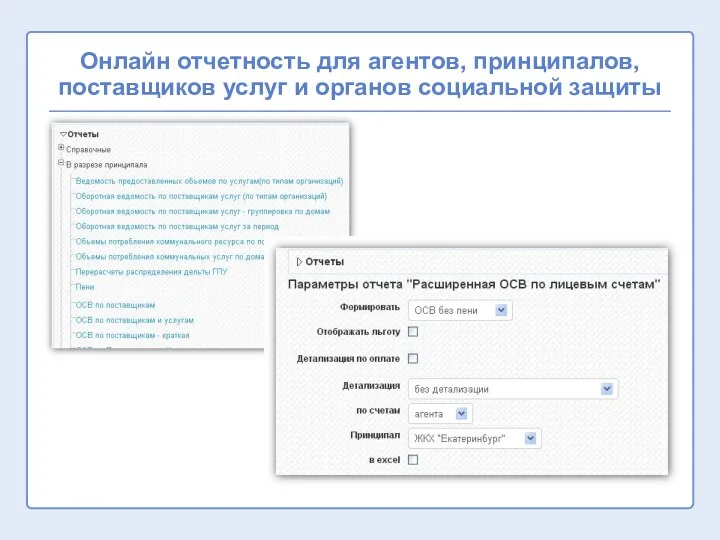 Онлайн отчетность для агентов, принципалов, поставщиков услуг и органов социальной защиты