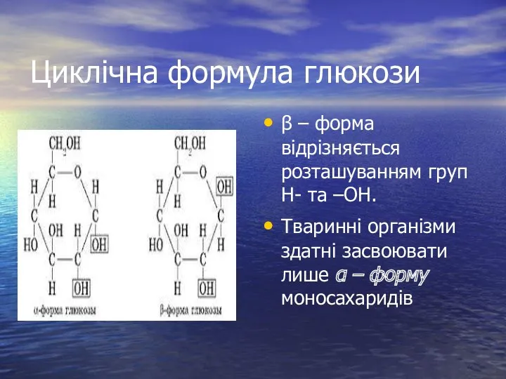 Циклічна формула глюкози β – форма відрізняється розташуванням груп Н-