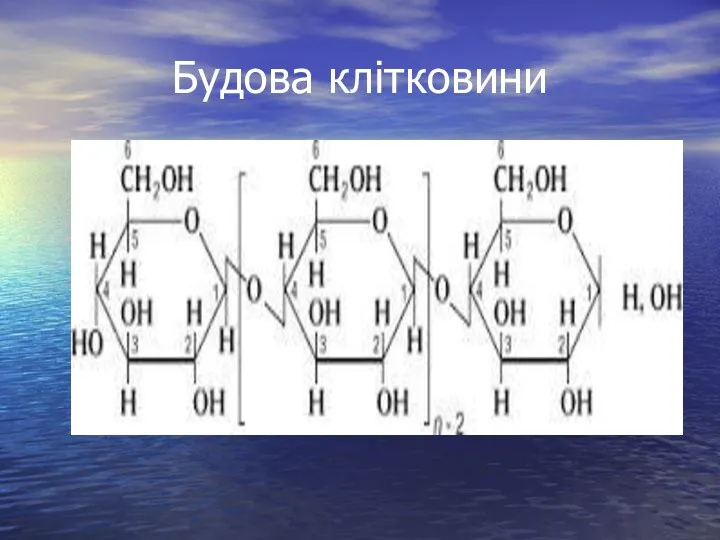 Будова клітковини