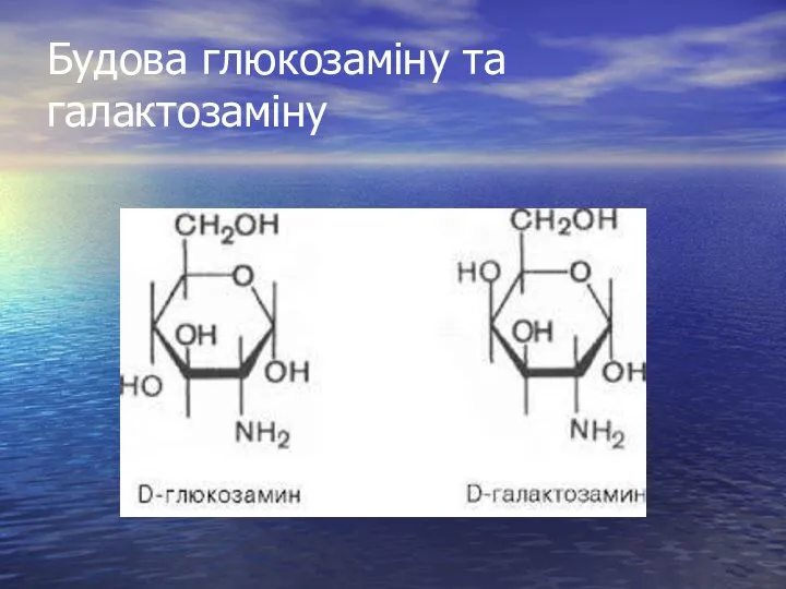 Будова глюкозаміну та галактозаміну