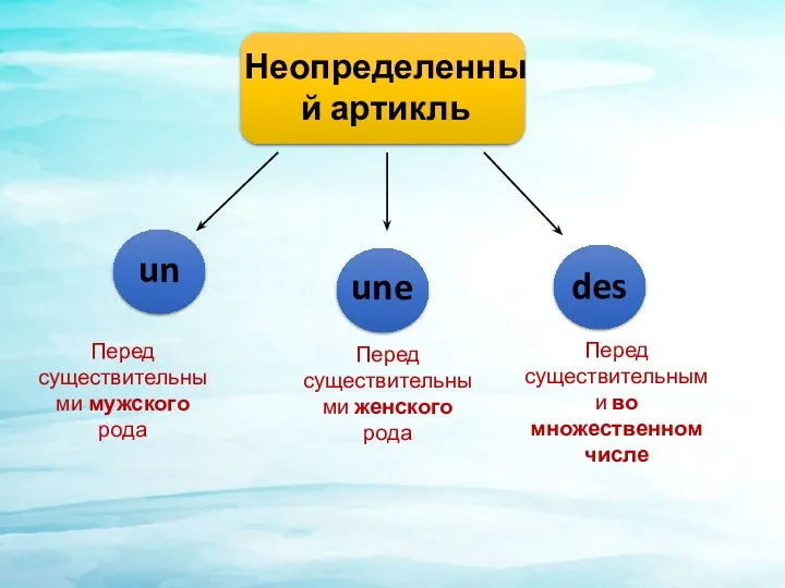 Неопределенный артикль un une des Перед существительными мужского рода Перед