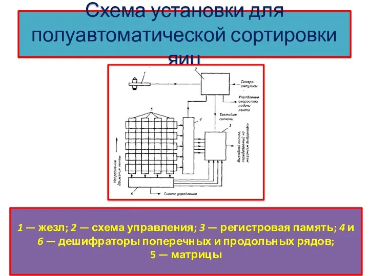 Схема установки для полуавтоматической сортировки яиц 1 — жезл; 2