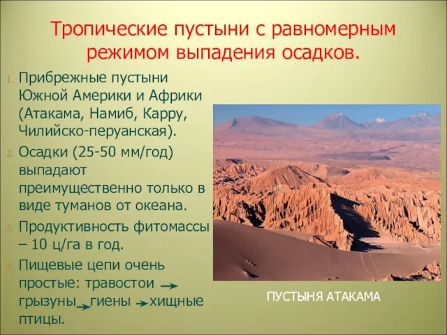 Тропические пустыни с равномерным режимом выпадения осадков. Прибрежные пустыни Южной