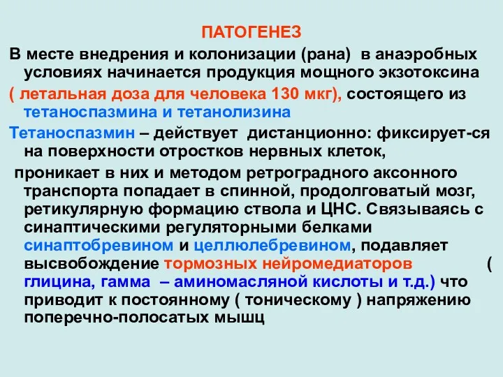 ПАТОГЕНЕЗ В месте внедрения и колонизации (рана) в анаэробных условиях