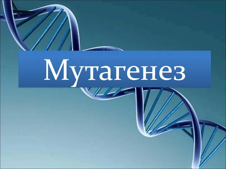 Мутагенез