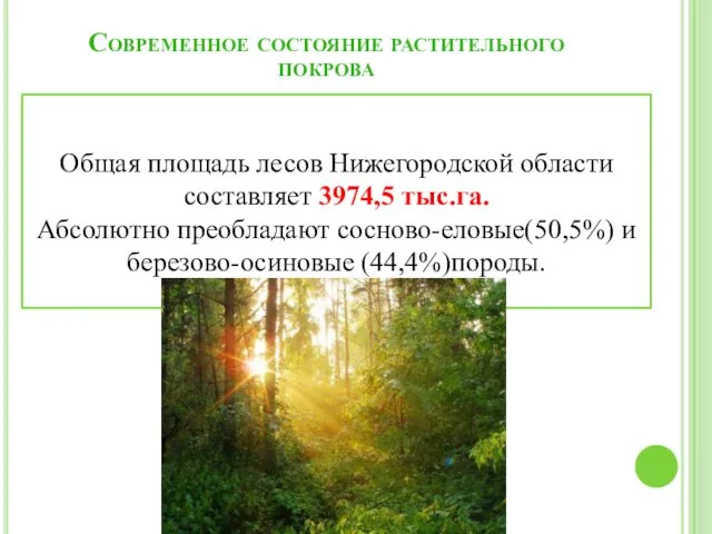 Современное состояние растительного покрова Общая площадь лесов Нижегородской области составляет 3974,5 тыс.га. Абсолютно