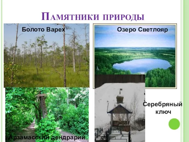 Памятники природы Болото Варех Озеро Светлояр Арзамасский дендрарий Серебряный ключ