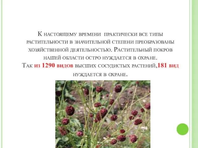 К настоящему времени практически все типы растительности в значительной степени