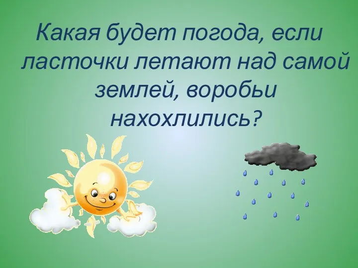 Какая будет погода, если ласточки летают над самой землей, воробьи нахохлились?