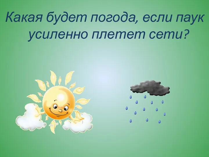 Какая будет погода, если паук усиленно плетет сети?