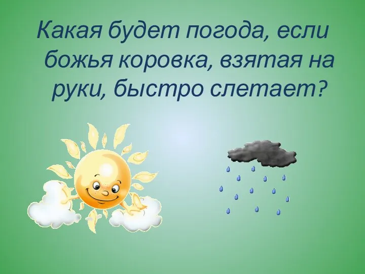 Какая будет погода, если божья коровка, взятая на руки, быстро слетает?