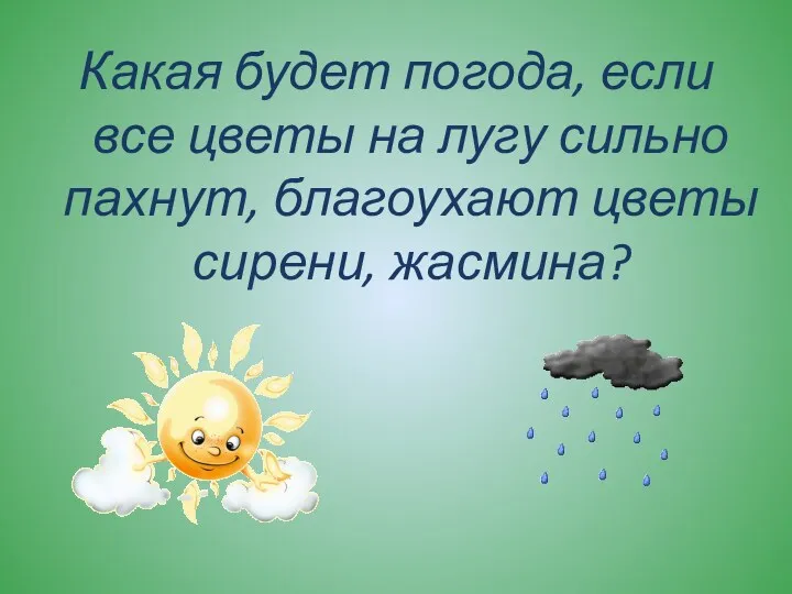 Какая будет погода, если все цветы на лугу сильно пахнут, благоухают цветы сирени, жасмина?