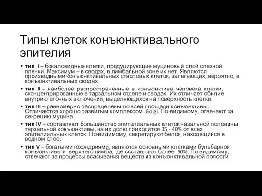 Типы клеток конъюнктивального эпителия тип I – бокаловидные клетки, продуцирующие