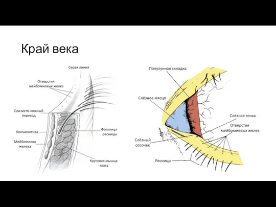 Край века