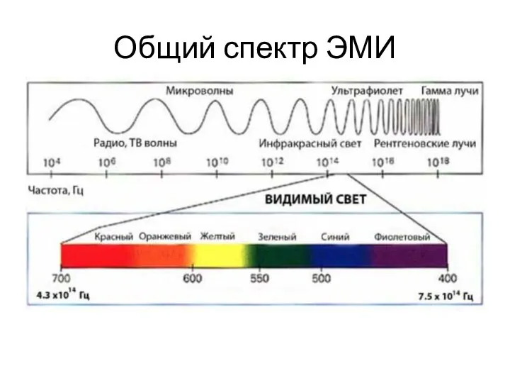 Общий спектр ЭМИ