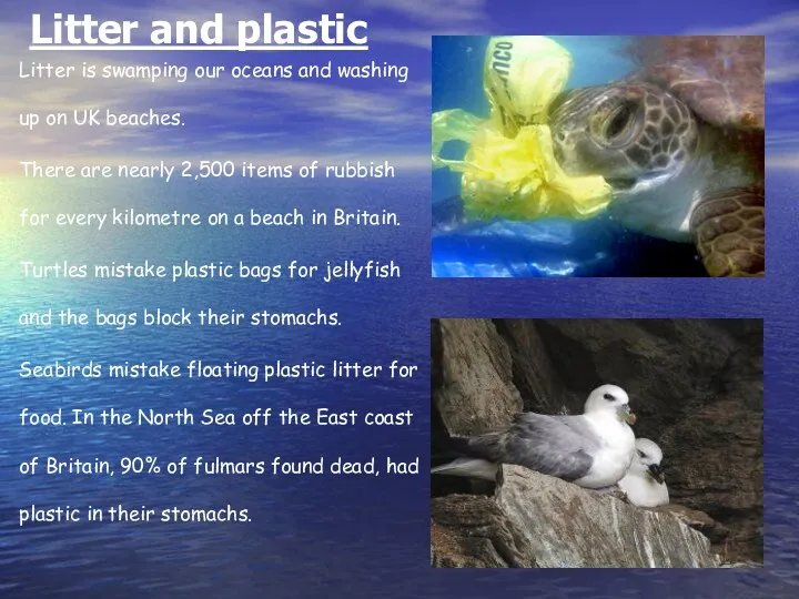 Litter is swamping our oceans and washing up on UK