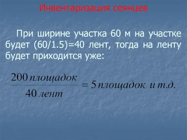 При ширине участка 60 м на участке будет (60/1.5)=40 лент, тогда на ленту