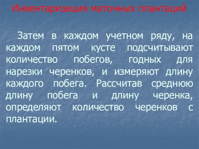 Затем в каждом учетном ряду, на каждом пятом кусте подсчитывают количество побегов, годных