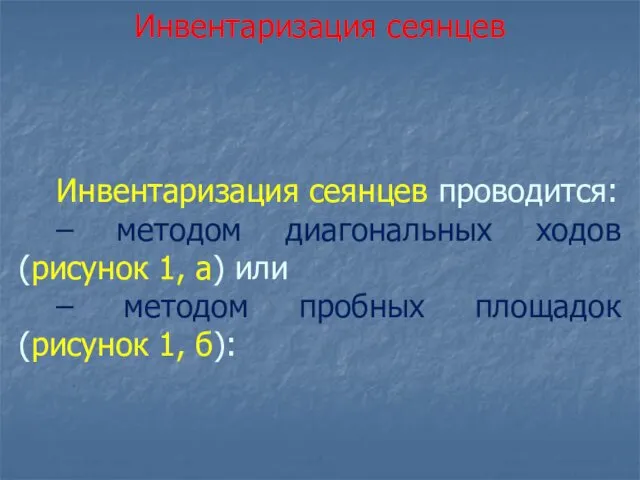 Инвентаризация сеянцев проводится: – методом диагональных ходов (рисунок 1, а)