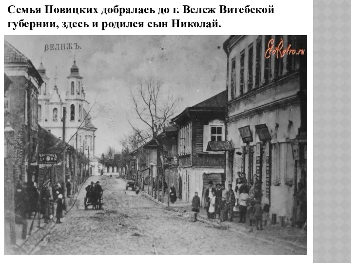 Семья Новицких добралась до г. Вележ Витебской губернии, здесь и родился сын Николай.
