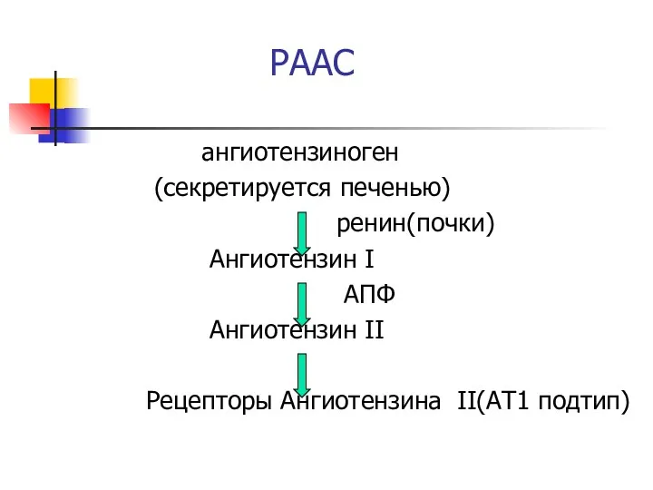РААС ангиотензиноген (секретируется печенью) ренин(почки) Ангиотензин I АПФ Ангиотензин II Рецепторы Ангиотензина II(АТ1 подтип)