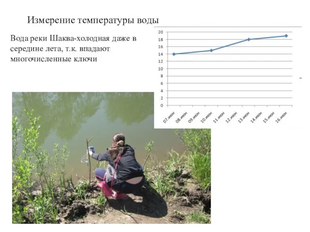 Измерение температуры воды Вода реки Шаква-холодная даже в середине лета, т.к. впадают многочисленные ключи