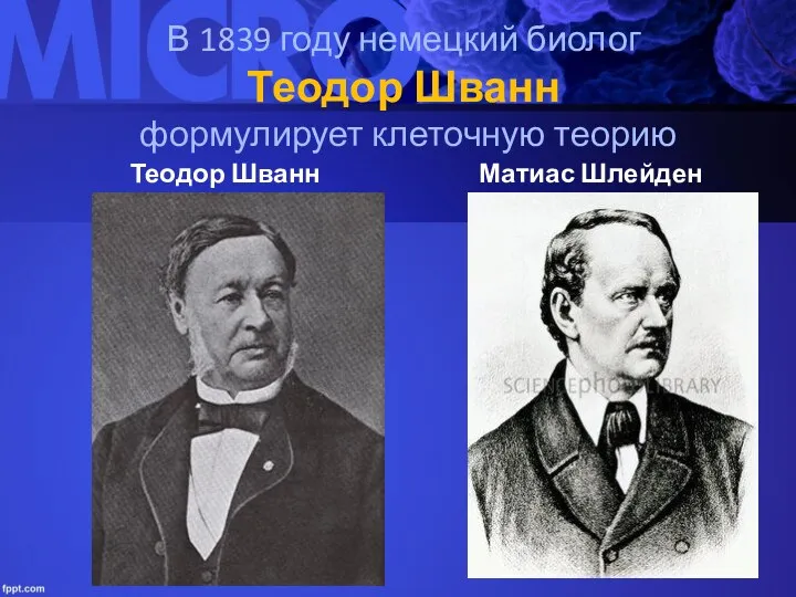В 1839 году немецкий биолог Теодор Шванн формулирует клеточную теорию Теодор Шванн Матиас Шлейден