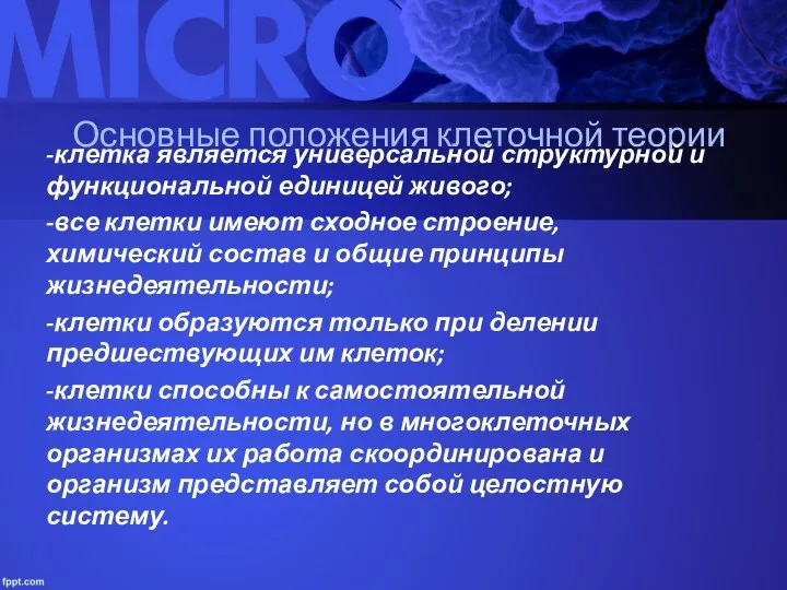 Основные положения клеточной теории -клетка является универсальной структурной и функциональной