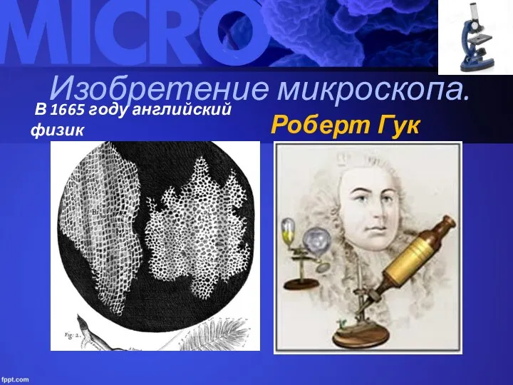 Изобретение микроскопа. В 1665 году английский физик Роберт Гук