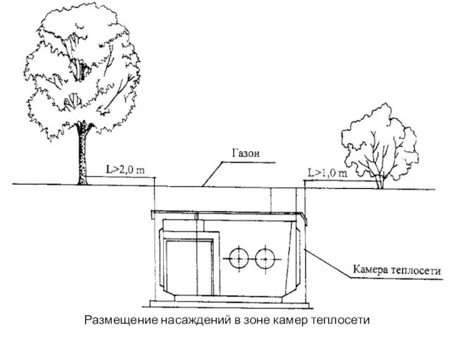 Размещение насаждений в зоне камер теплосети