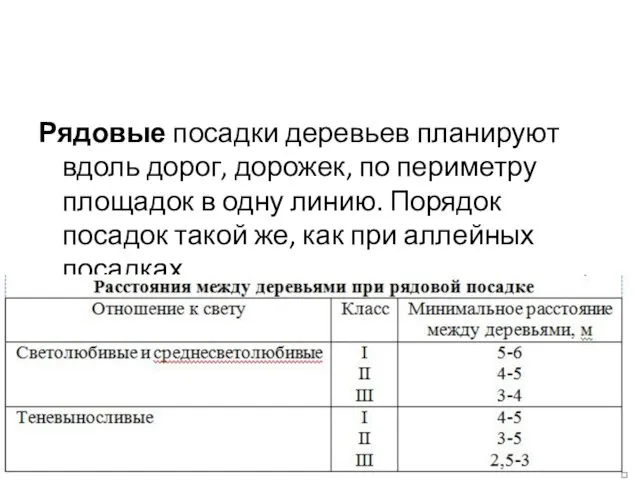 Рядовые посадки деревьев планируют вдоль дорог, дорожек, по периметру площадок