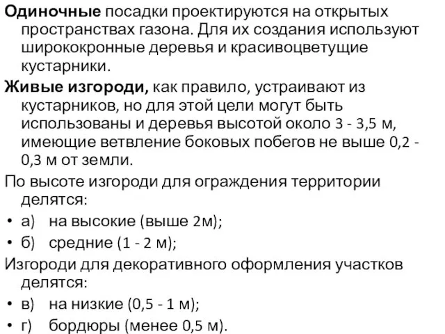 Одиночные посадки проектируются на открытых пространствах газона. Для их создания