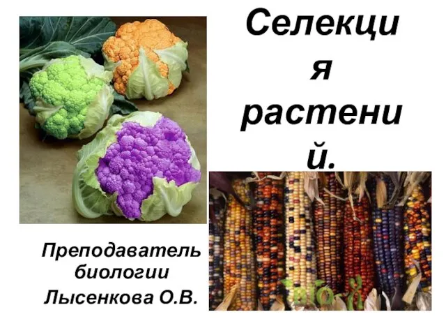 Селекция растений