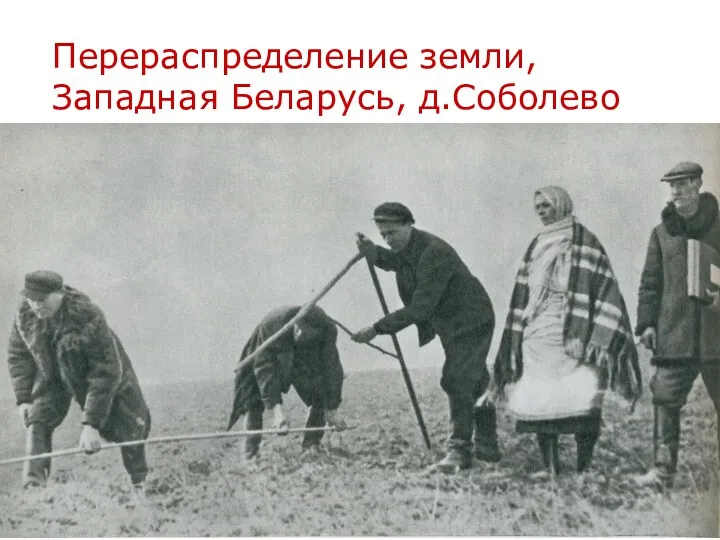 Перераспределение земли, Западная Беларусь, д.Соболево