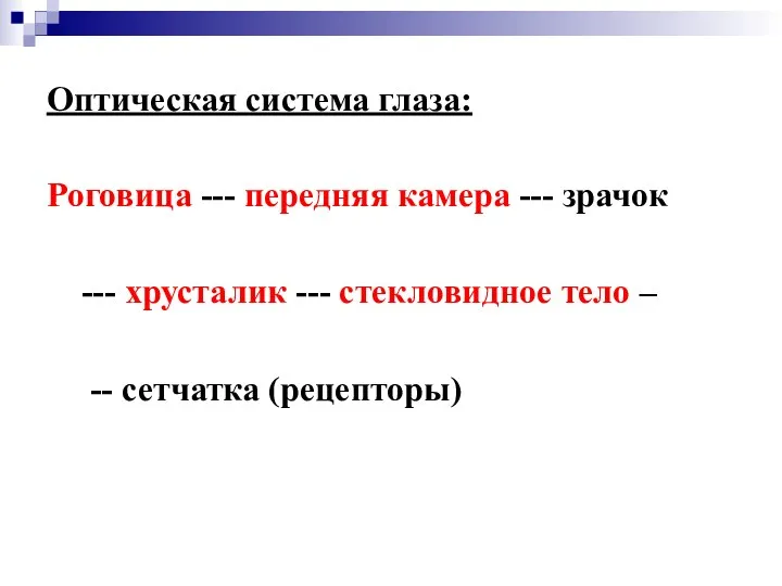 Оптическая система глаза: Роговица --- передняя камера --- зрачок ---