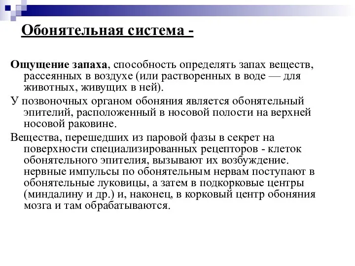 Обонятельная система - Ощущение запаха, способность определять запах веществ, рассеянных