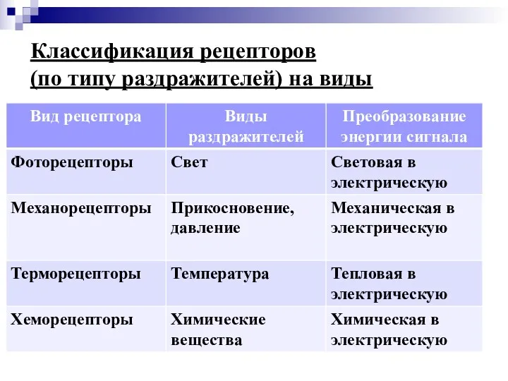 Классификация рецепторов (по типу раздражителей) на виды