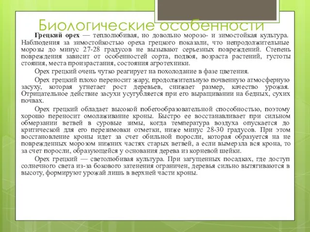 Биологические особенности Грецкий орех — теплолюбивая, но довольно морозо- и