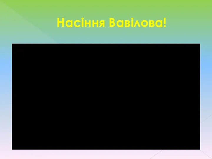 Насіння Вавілова!