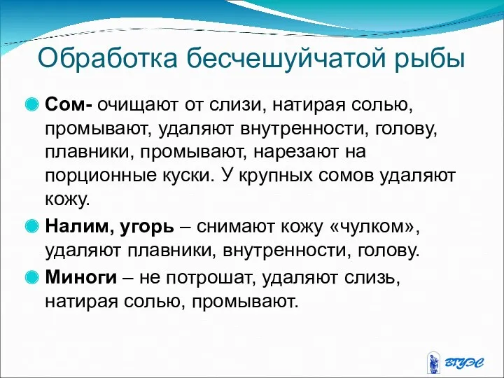 Обработка бесчешуйчатой рыбы Сом- очищают от слизи, натирая солью, промывают,