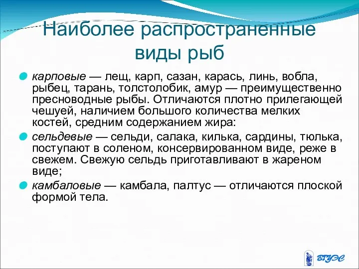 Наиболее распространенные виды рыб карповые — лещ, карп, сазан, карась,