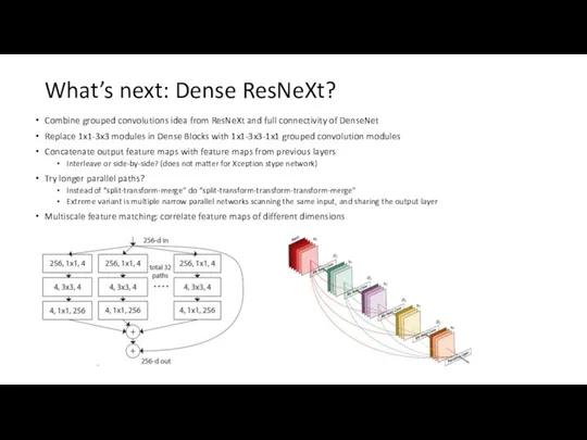 What’s next: Dense ResNeXt? Combine grouped convolutions idea from ResNeXt
