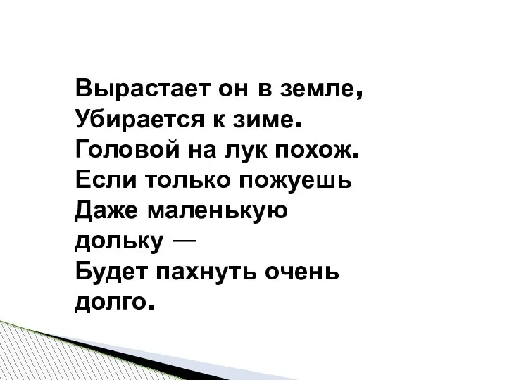 Вырастает он в земле, Убирается к зиме. Головой на лук